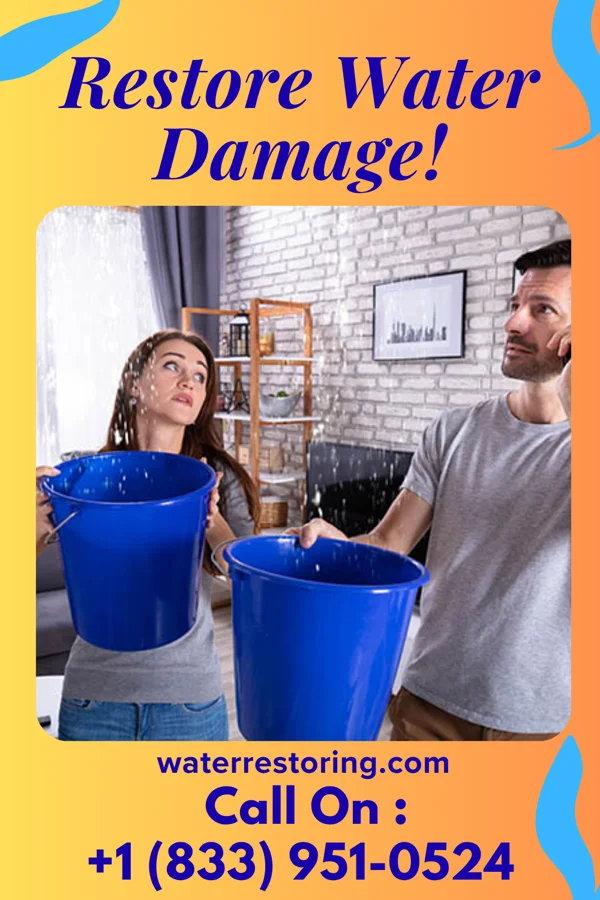 water restoration Premier Emergency Restoration Forest Hill Village