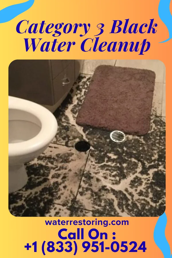 Category 3 Black Water Cleanup in Forest Hill Village, MT