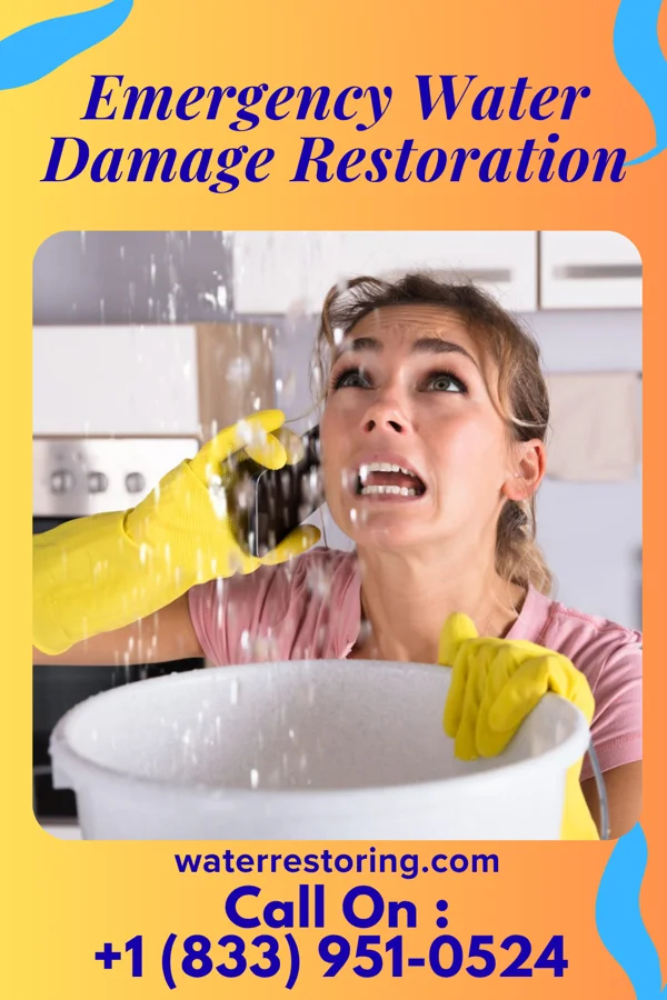 Emergency Water Damage Restoration in Forest Hill Village, MT
