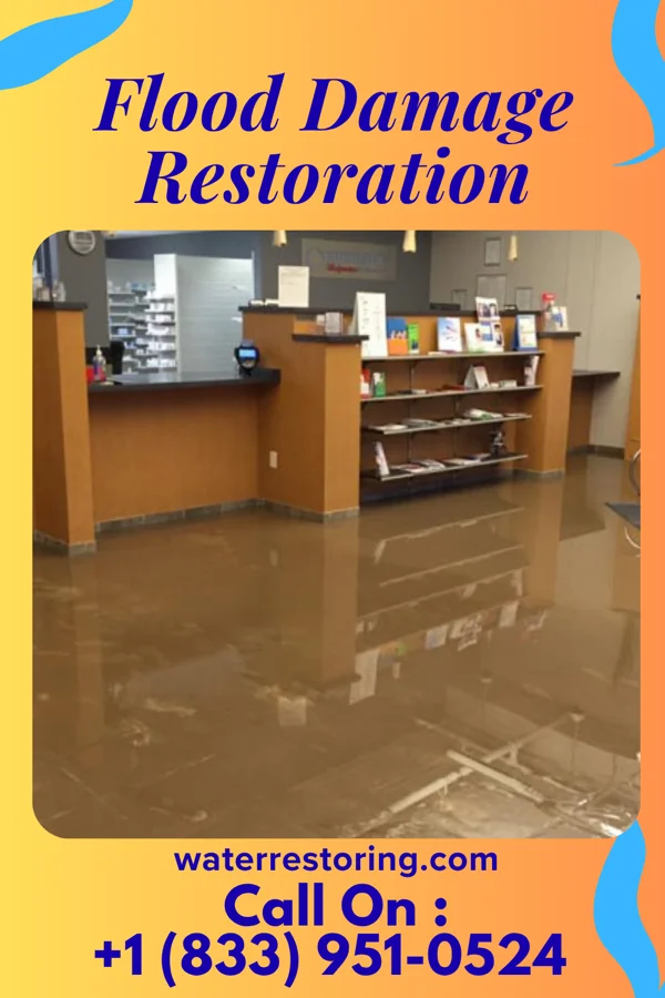 Flood Damage Restoration in Forest Hill Village, MT